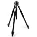 Giottos GTMTL9361B Aluminiumstativ mit dreh- und schwenkbarer Mittels�ule (Gewicht 2,2 kg, 8 kg max. Belastbarkeit, max. Auszugsh�he 170 cm)schwarz