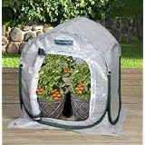 FlowerHouse 3' PlantHouse by 