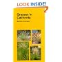 Grasses in California (California Natural History Guides)