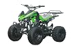 125cc Sports ATV 8 Tires with Reverse, Green