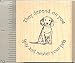 Spay and Neuter Dog Rubber Stamp