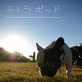 テトラポッド （feat. 重音テト）