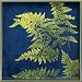 Rock, Flower, Paper Lady Fern Decorative Serving Tray
