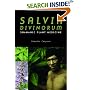 Salvia Divinorum: Shamanic Plant Medicine