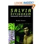 Salvia Divinorum: Shamanic Plant Medicine
