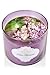 1 X Bath & Body Works 3 Wick Candle 14.5 Oz White Barn Lilac Blossom