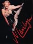 Marilyn: A Never Ending Dream