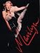 Marilyn: A Never Ending Dream