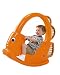 Angel Fish Rocker
