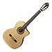 Washburn Classical Series Acoustic Electric Cutaway
