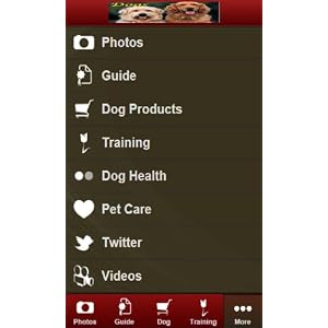 Dog Care