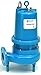 Goulds Water / Xylem