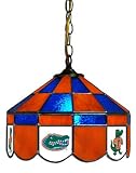 14 Executive Swag Hanging Lamp Light University of Florida Gators - Free Shipping