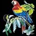 Parrot Adult T-Shirt