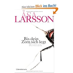 Bis dein Zorn sich legt: Roman