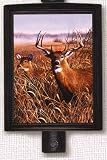 Buck Deer Nightlight--Nature Night Light