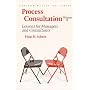 Process Consultation: lessons for Managers and Consultants: v. 2 (Process Consultation)