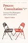 Process Consultation: lessons for Managers and Consultants: v. 2 (Process Consultation)
