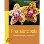 Phalaenopsis - Schick - anmutig - bl�tenreich