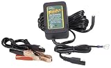 BATTERY TENDER JR 6V ~ DELTRAN ~