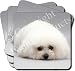 NEW-BICHON FRISE DOG Set of 4 Coasters