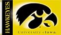 University Of Iowa NCAA 3' x 5' Premium 2-Sided Banner Flag