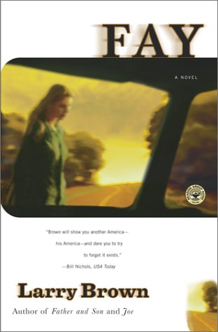 Image of: Fay: A Novel