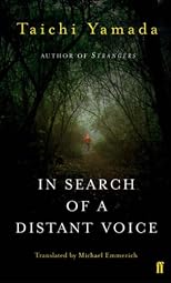 In Search of a Distant Voice