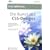 Video2Brain Die Kunst des CSS-Designs Video-Training DVD