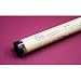 The Declaration of Independence. In clear plastic tube. Large. (23"x 29" appr.) High Quality Replica of Historical document. Genuine Parchment.