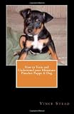How to Train and Understand your Miniature Pinscher Puppy& Dog