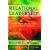 Relational Leadership: A Bibical Model for Influence and Service