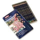 Derwent Inktense Watersoluble Ink Pencils- Set of 12 Colors