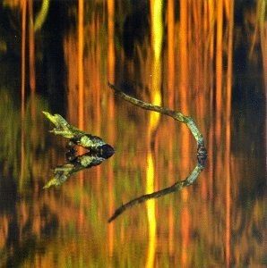 Loituma - Ievan Polkka Lyrics - Zortam Music