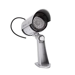 Silver Dummy Indoor/Outdoor Surveillance Camera