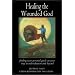 Healing the Wounded God: Finding Your Personal Guide on Your Way to Individuation and Beyond