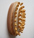 Cellulite Circulation Massage Brush