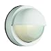 41A8YAoutkL. SL75  Trans Globe Lighting 4056 RT 14 1/2 Inch 1 Light Outdoor Down Wall Lantern, Rust