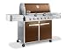 41A8yEEOrzL. SL75  Weber 1752001 Summit E620 Propane Gas Grill Copper