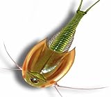 Ravensburger - 18892 - ScienceX - Triops et dinosaures