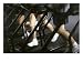 Low Section View of People Running on Treadmills in a Gym, Fitness Photographic Poster Print, 24x18