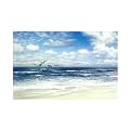 Pelicans on Bait by James Harris- 38x20"