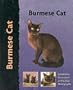Burmese Cat (Cat Breeds)