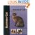 Burmese Cat (Pet Love)