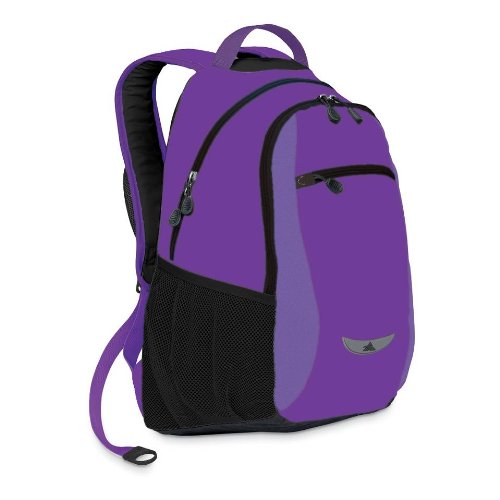 High Sierra Curve Backpack (18.5 x 12.5 x 8.5-Inch, Purple)