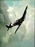 HIGH FLIGHT Art Print Poster By KEITH FERRIS, 24  x 18 