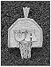 Logo Art Arizona Wildcats Sterling Silver Backboard Pendant