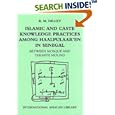 Islamic and Caste Knowledge Practices among Haalpulaaren in Senegal: Between Mosque and Termite Mound (International... by Roy Dilley