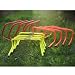 Diamond - Set of 12 Mixed Speed / Agility Hurdles Plus Bag