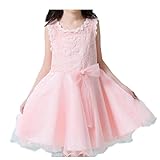 Ruideng ガールズサマープリンセスドレスのスカートチュチュノースリーブワンピースのスカートのドレスチュチュの公演 (160cm, ピンク)